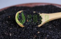 黑芝麻怎么吃最有营养 黑芝麻的功效与作用