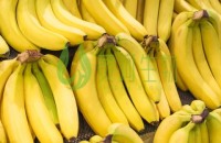 吃香蕉有哪些好处 常吃香蕉有哪些好处呢