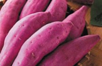红薯和紫薯哪个更减肥  红薯减肥法5天减十斤