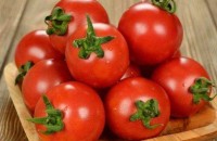 西红柿对身体有害吗 经常吃西红柿对身体的坏处