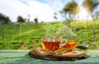女人喝红茶可以减肥吗 红茶减肥还是绿茶减肥