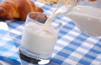 性早熟可以喝牛奶吗 喝牛奶真会导致性早熟吗