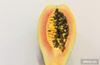 木瓜怎么吃最丰胸 木瓜丰胸的最佳吃法