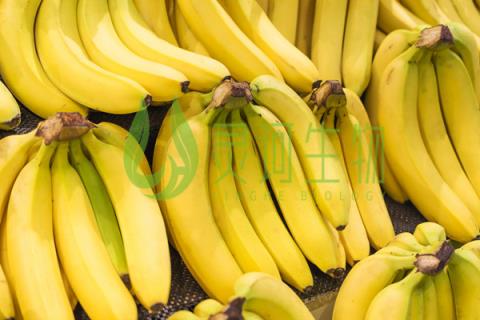 吃香蕉有哪些好处 常吃香蕉有哪些好处呢
