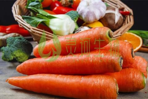 胡萝卜的营养价值有哪些 胡萝卜的功效与作用