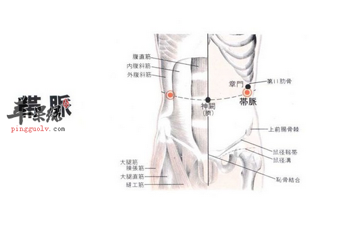 带脉的准确位置图和作用按摩方法