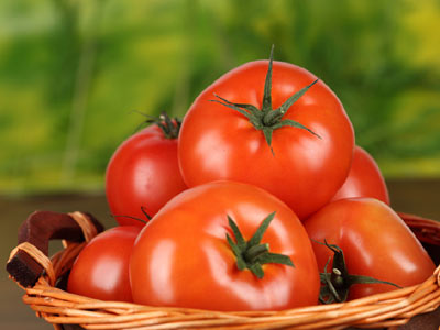 西红柿千万不能生吃  生吃西红柿的好处和坏处