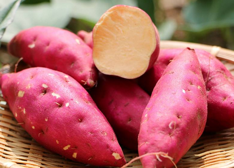 红薯有什么营养价值 红薯的功效与营养价值