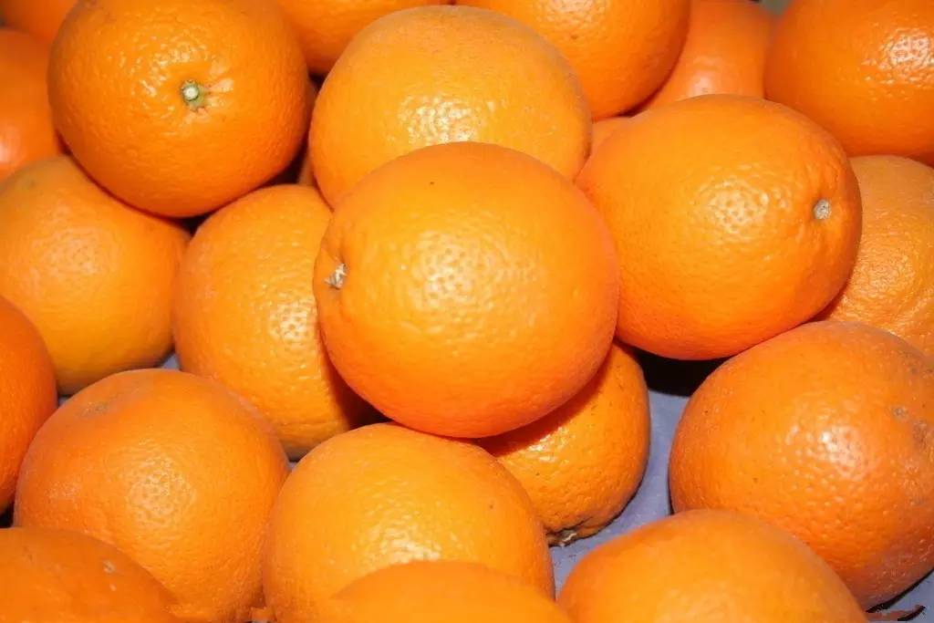 一天吃几个橙子最好 每天吃橙子的最佳数量